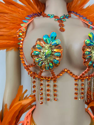Top Quality Handmade Samba Rio Carnival Wire Bra+Belt+feather shawl With Stone Sexy Belly Dancing Costume