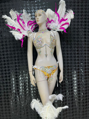Top Quality Handmade Samba Rio Carnival Wire Bra+Panty+Feather Headdresncs With Stone Sexy Belly Daing Costume CF002-2