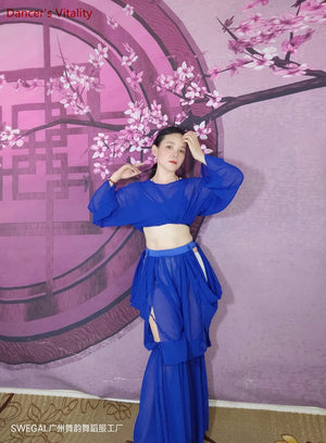 Women's Belly Dance Training Outfit With Long-Sleeve Top And Chiffon Lantern Pants