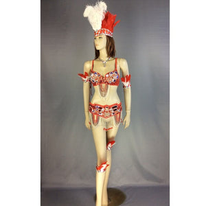 new design top grade new belly dance Samba Carnivel RIO Crystal Bra Costume Outfit Showgirl dancer costume 5 color C1359-6