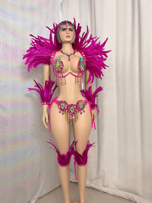 Carnival Costume Women's Hot Pink Feathered & Rhinestone Embellished Bra & Bikini Set with Arm & Leg Bands, Samba Dancewear