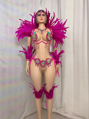 Carnival Costume Women's Hot Pink Feathered & Rhinestone Embellished Bra & Bikini Set with Arm & Leg Bands, Samba Dancewear