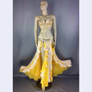 New design high quality Women's belly dance costume sets Halloween costume sexy belly dancing clothes bellydance Christmas wear TF2152+SK37