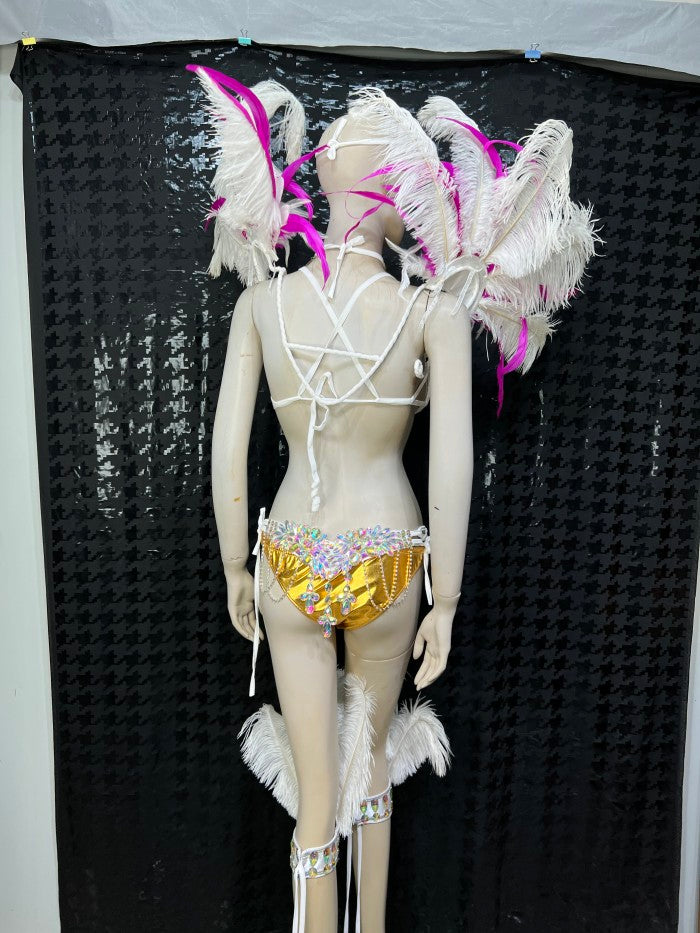 Top Quality Handmade Samba Rio Carnival Wire Bra+Panty+Feather Headdresncs With Stone Sexy Belly Daing Costume CF002-2