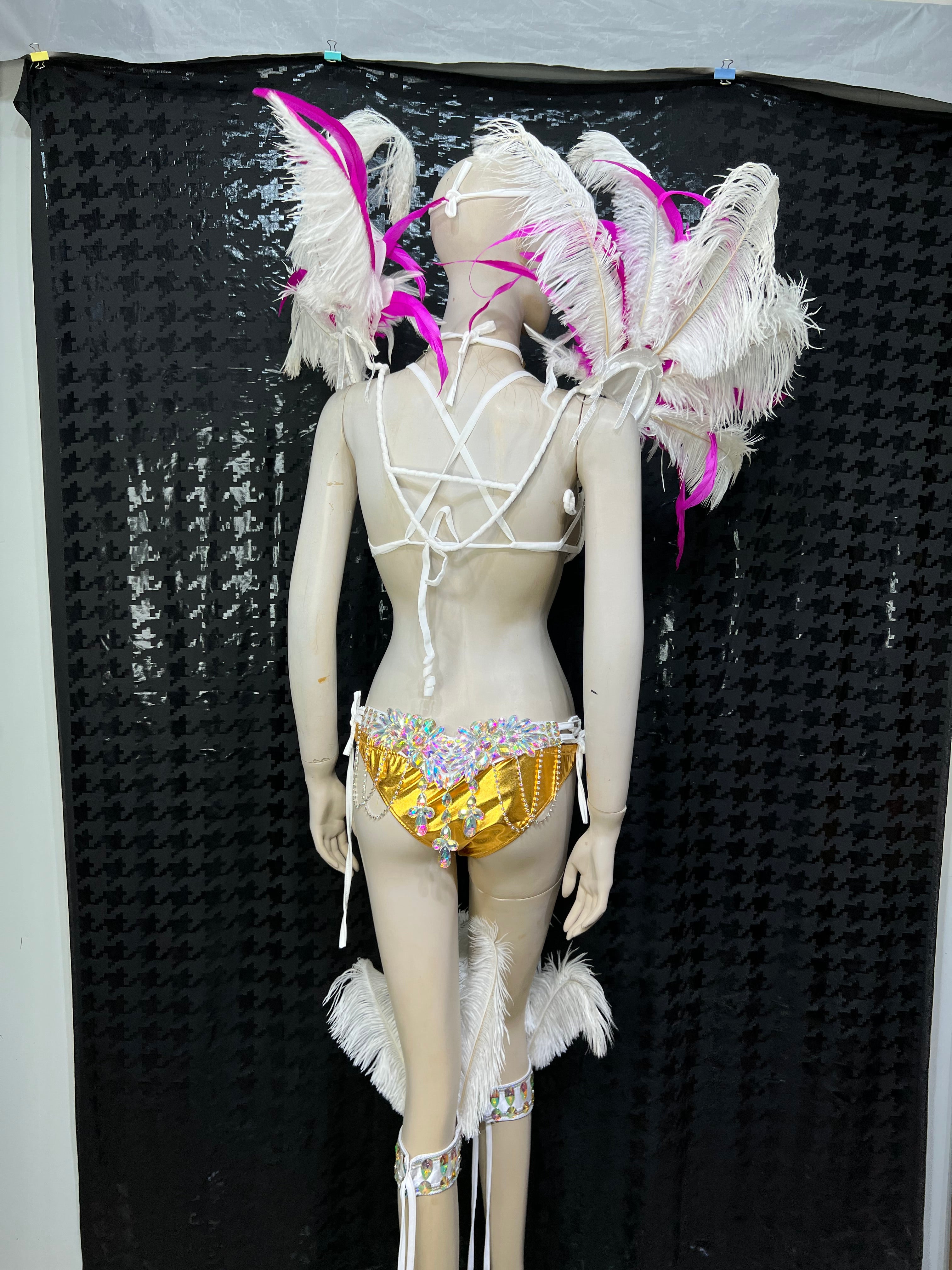 Top Quality Handmade Samba Rio Carnival Wire Bra+Panty+Feather Headdresncs With Stone Sexy Belly Daing Costume CF002-2