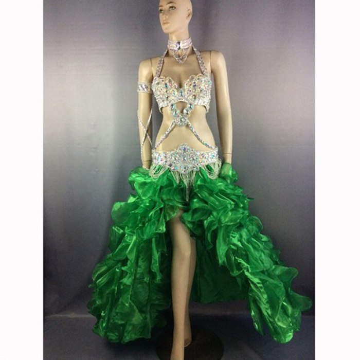 New women performance belly dance costume set carnival belly dancing clothes halloween bellydance bra&belt&skirt 5pcs suit TF1732 (5PCS/SET)