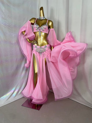New Style Samba Carnival Handmade Belly Dance Costumes Pink Color Performance Costumes Bra Belt Skirt With Arm Sleeves 5 Piece/Set