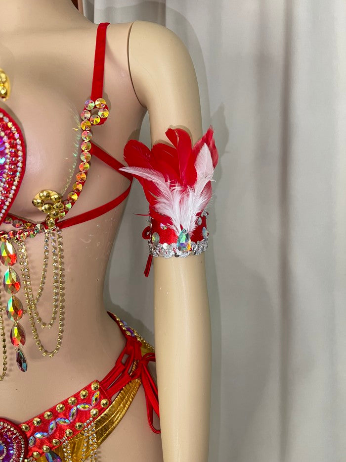 Samba Carnival Belly Wire Bra Belt  and Panty With feather head piece Hand Beads Passista Pageant Cabaret Broadway Theater Mardi Gras,Vegas Showgirls CF1721-2