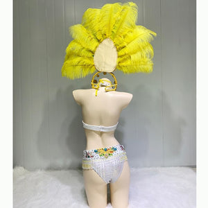 Sexy Women Samba Rio Carnival Costume Handmde Belly Dance Costume Wire Bra&Belt Set with Feather Head piece Rainbow stones C031