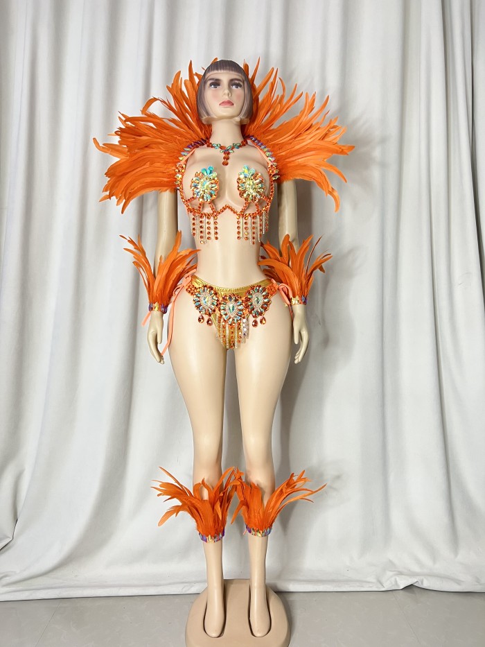Top Quality Handmade Samba Rio Carnival Wire Bra+Belt+feather shawl With Stone Sexy Belly Dancing Costume