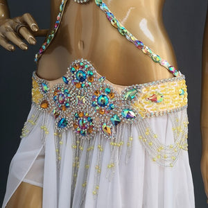 Hot Sale Professional Belly Dance Costume Set for Women Performance Outfit Bollywood Showgirl Dancer Belly Dance Costume clothes TF1732 yellow + sk1905