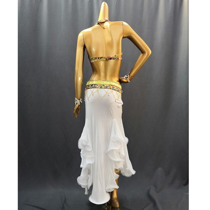 New Style Women's Belly Dance Costume Wear Belly Dance Clothes Sexy Suit Night Belly Dancing Costume 3pcs Set TF1623-1
