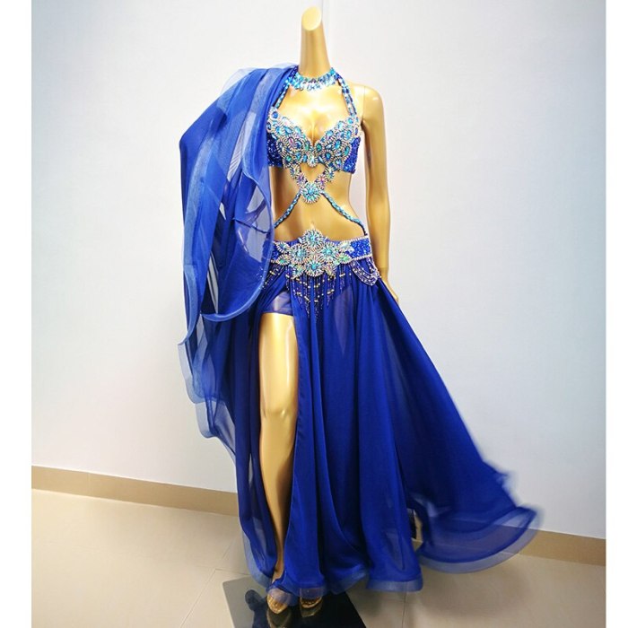 Hot Sale Professional Belly Dance Costume Set for Women Performance Outfits Bollywood Showgirl Dancer Belly Dance Costume cloths