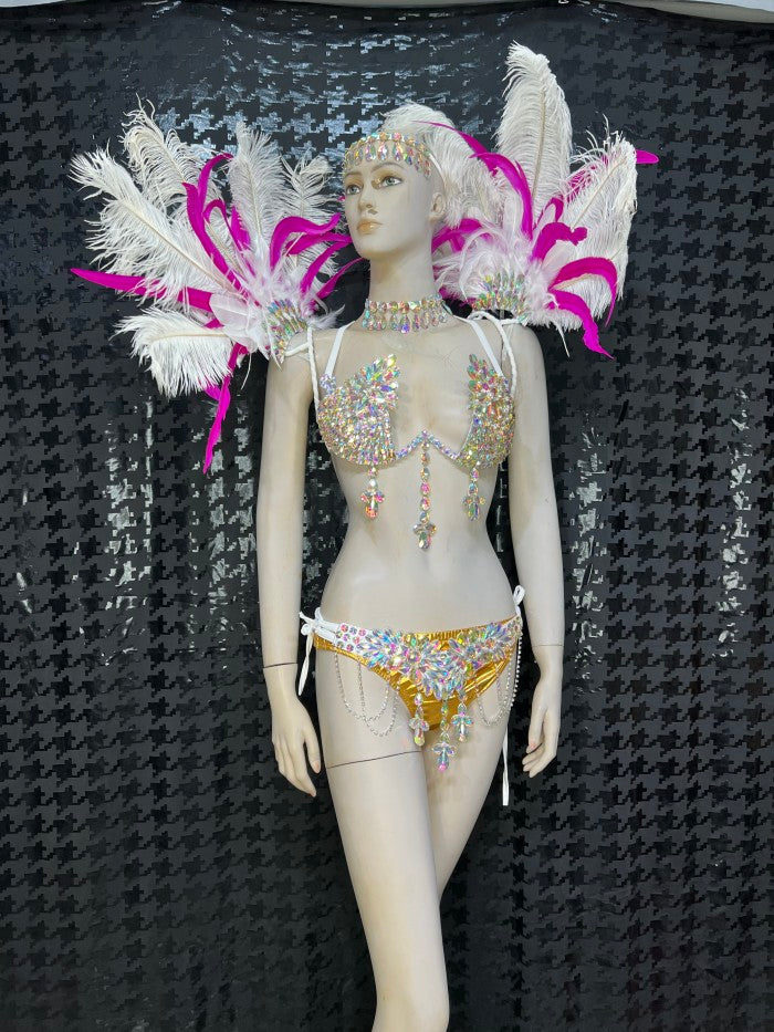 Top Quality Handmade Samba Rio Carnival Wire Bra+Panty+Feather Headdresncs With Stone Sexy Belly Daing Costume CF002-2