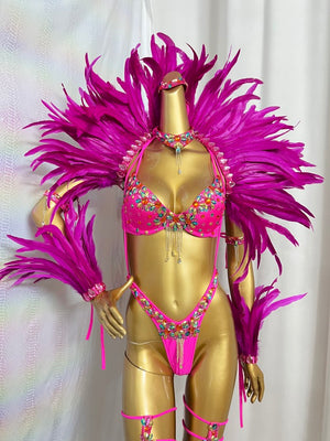 New Handmade Samba Carnival  Bra And Panty With Feather Set Stones Decorate For EDC Festival Rave Carnival