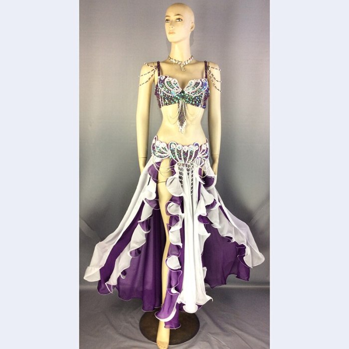 New design high quality Women's belly dance costume sets Halloween costume sexy belly dancing clothes bellydance Christmas wear TF2152+SK37