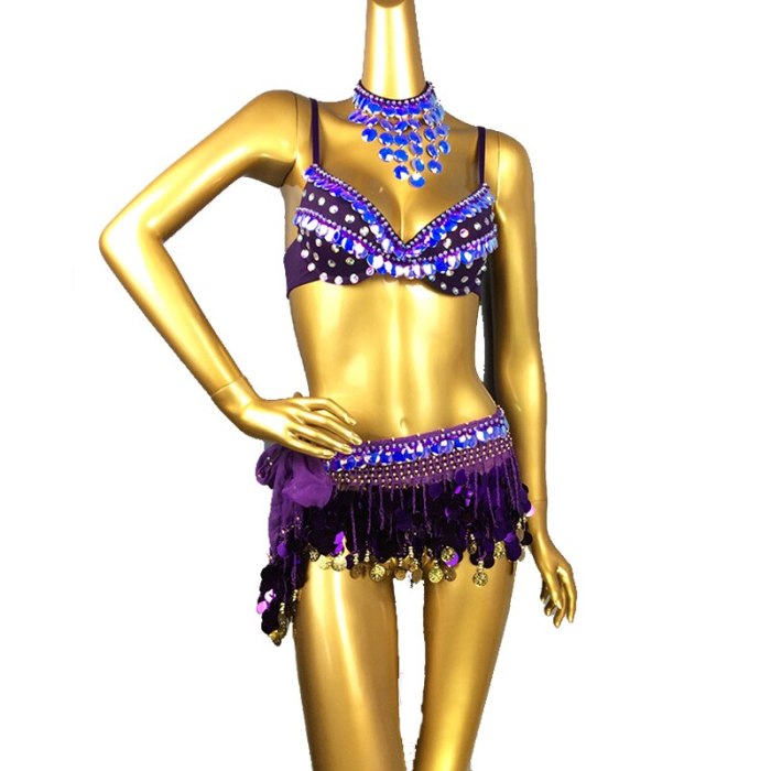 New Sexy Samba Belly Dance Costume for Women Hand Beaded sequins purple Color Bra and Scarf Necklace 3 pieces