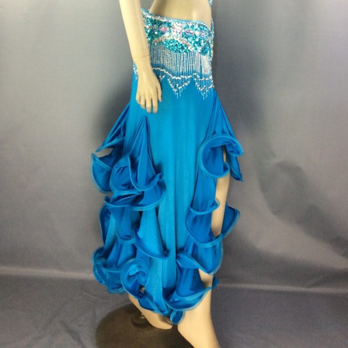 Free shipping New women's belly dance costume Dress belly dance clothes sexy belly dancing Skirt training dress or performance SK38
