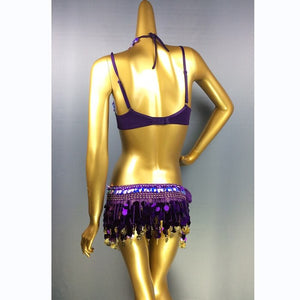 New Sexy Samba Belly Dance Costume for Women Hand Beaded sequins purple Color Bra and Scarf Necklace 3 pieces