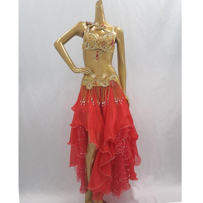 Top quality New women belly dance costume set showgirl Stage Performance belly dancing clothes bellydance bra&belt&skirt suit  TF1921 - 3pc/set