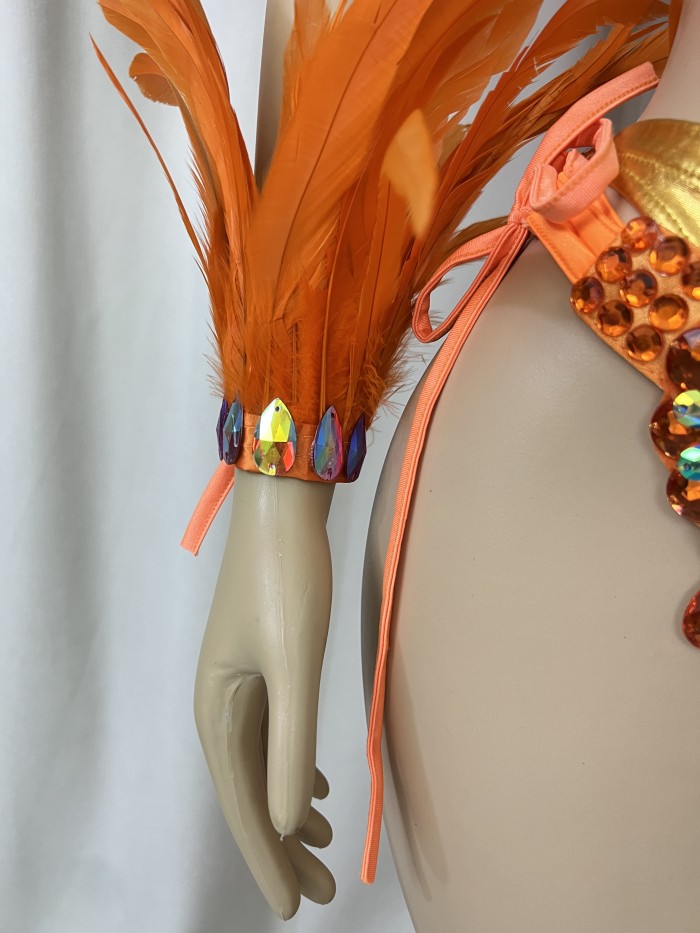 Top Quality Handmade Samba Rio Carnival Wire Bra+Belt+feather shawl With Stone Sexy Belly Dancing Costume