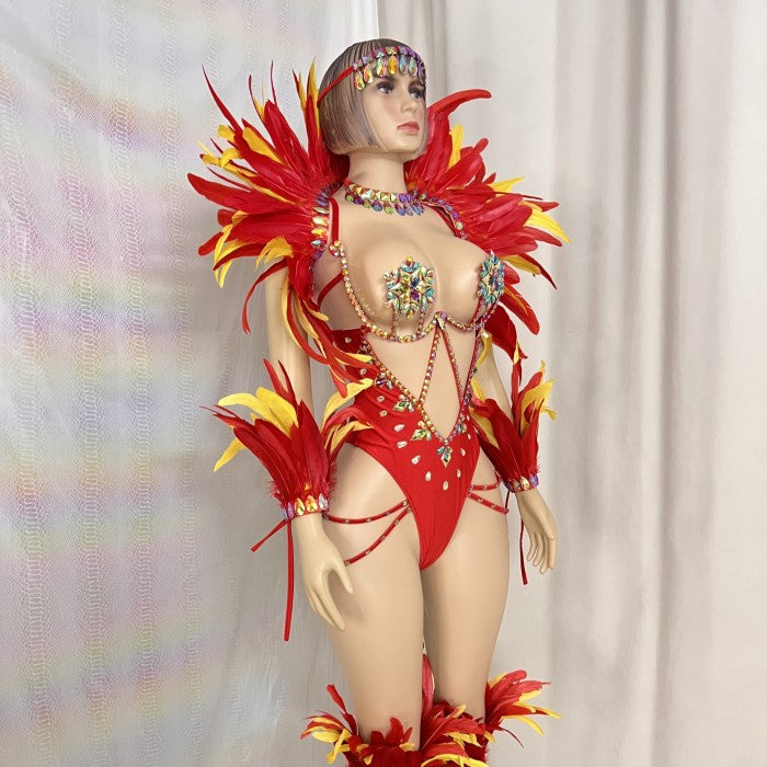 New Style Handmade Monokini Bodysuit Wire Bra With Thong Red Color With Feather Ser For Samba Carnival