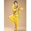 New Children Belly Dance Costumes kids belly dance 4pcs(top+pants+waist chain+veil) indian \girls belly dance costume 3307