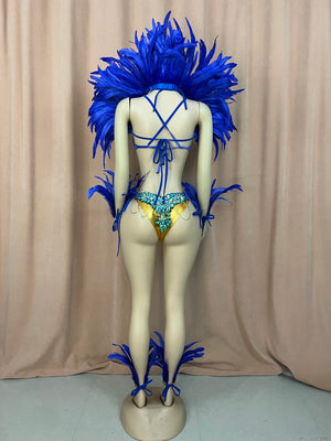 Top Quality Handmade Samba Rio Carnival Wire Bra+Belt+feather shawl With Stone Sexy Belly Dancing Costume