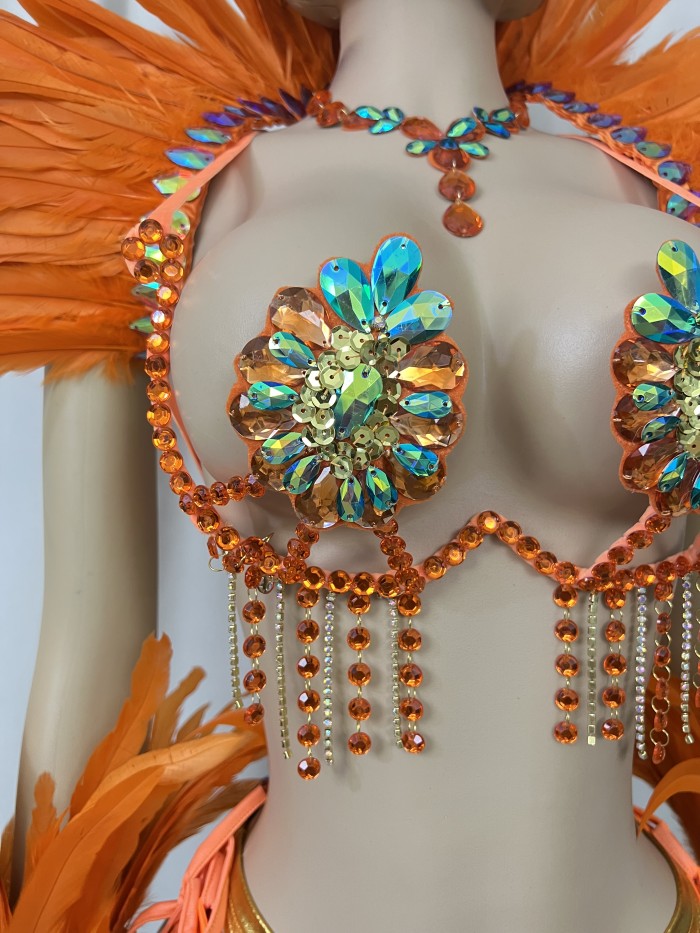 Top Quality Handmade Samba Rio Carnival Wire Bra+Belt+feather shawl With Stone Sexy Belly Dancing Costume