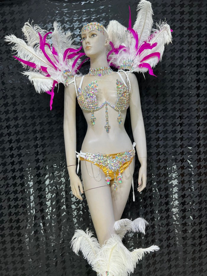 Top Quality Handmade Samba Rio Carnival Wire Bra+Panty+Feather Headdresncs With Stone Sexy Belly Daing Costume CF002-2