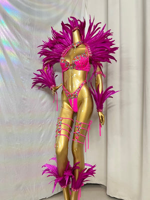 New Handmade Samba Carnival  Bra And Panty With Feather Set Stones Decorate For EDC Festival Rave Carnival