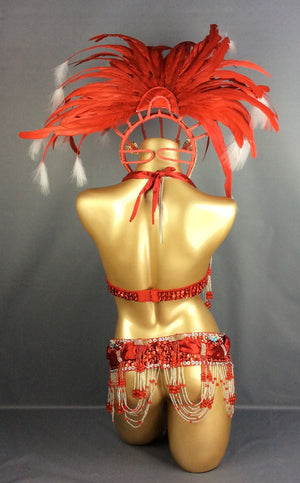 HOT SALEING parade Sexy Samba Rio Carnival Costume Feather Headdress #C1356