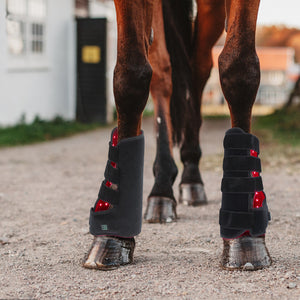 Red Light Infrared Pet Muscle Wound Recovery Horse Leg Portable Led Light Therapy