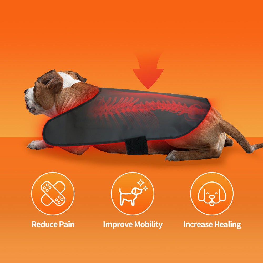 Medium Pet Red Light Infrared Therapy Device For Cat Dog Back Abdomen Injury Fracture Healing Portable Timer