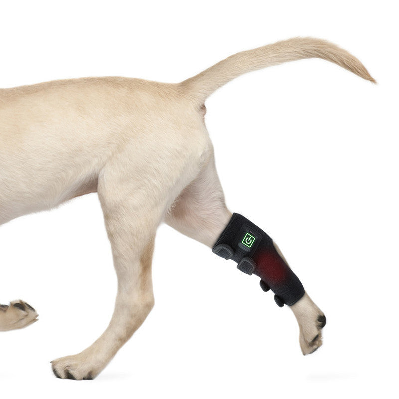 Pet Therapy Device For Injury Recovery Wound Healing Fracture Healing Portable Timer