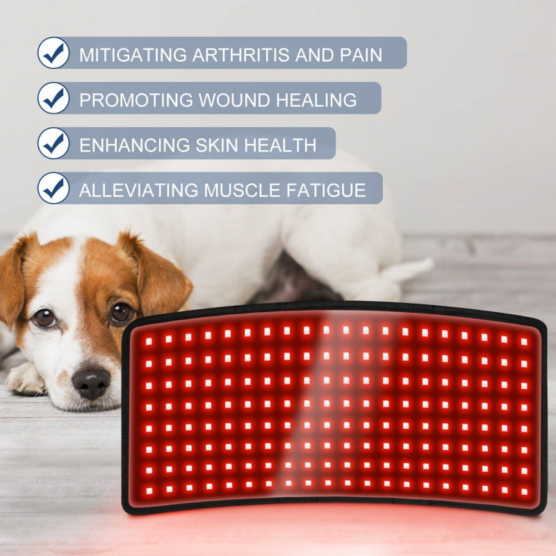 Pet Red Light Infrared Therapy Device For Back Belly Thigh Leg Injury Recovery Bone Healing Portable Timer
