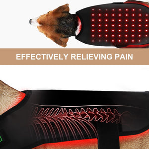 Small Pet Red Light Infrared Therapy Device For Cat Dog Back Abdomen Injury Recovery Bone Healing Anti Lick Portable Timer