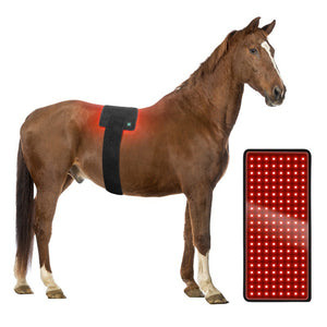 Pet Red Light Infrared Therapy Device For Back Belly Thigh Leg Injury Recovery Bone Healing Portable Timer