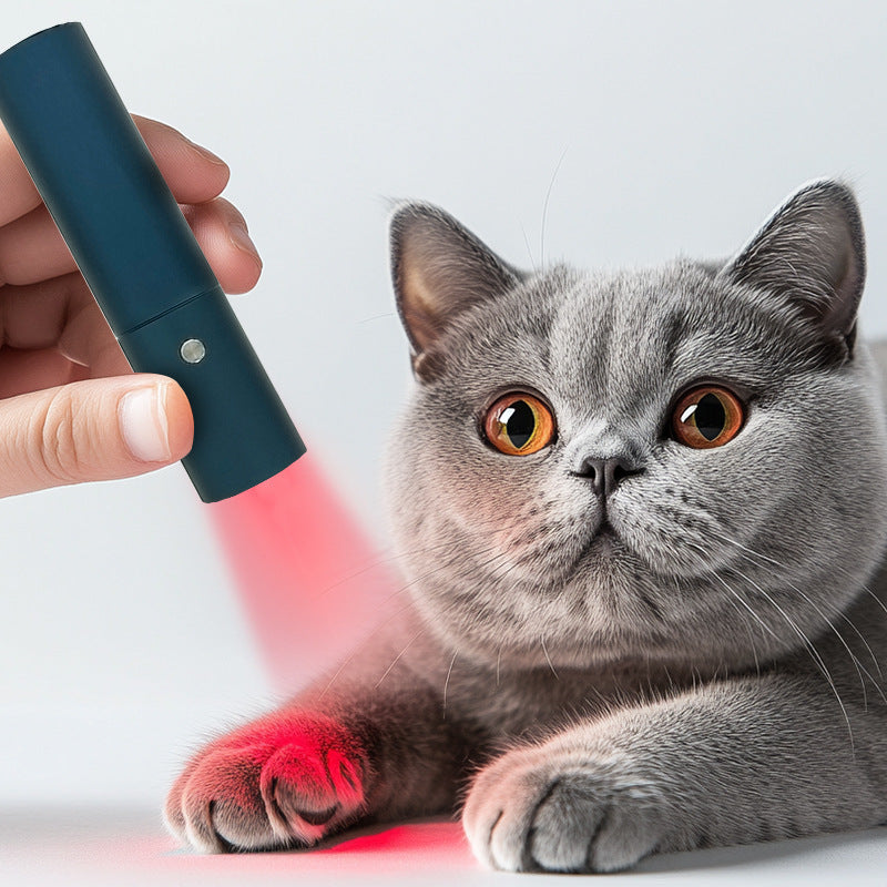 Led Red Light Infrared Therapy Device For Pet Bone Fracture Wound Healing Portable Timer 200mw Cm2