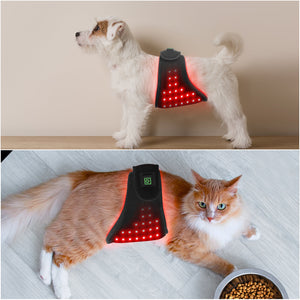 Portable Pet Therapy Device For Cat Dog Abdomen Hip Back Leg Wound Healing Bone Fracture Recovery Automatic Timer