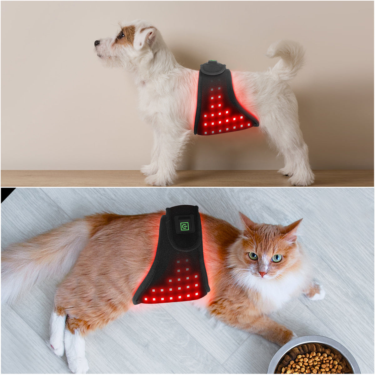 Portable Pet Therapy Device Timer Recovery Small Animal Abdomen Buttocks Back Leg Burns Scalds Bites