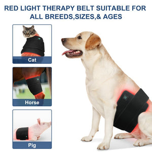 Pet Red Light Infrared Therapy Device For Back Belly Thigh Leg Injury Recovery Bone Healing Portable Timer