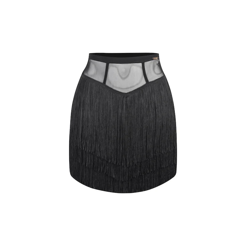 Women's Black Mesh Long Sleeve Latin Dance Dress with Fringe Skirt