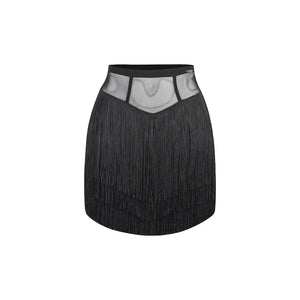 Women's Black Mesh Long Sleeve Latin Dance Dress with Fringe Skirt