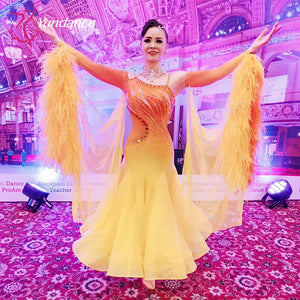 Women's International Standard Ballroom Dance Dress With Ostrich Feathers In Chiffon For Competition