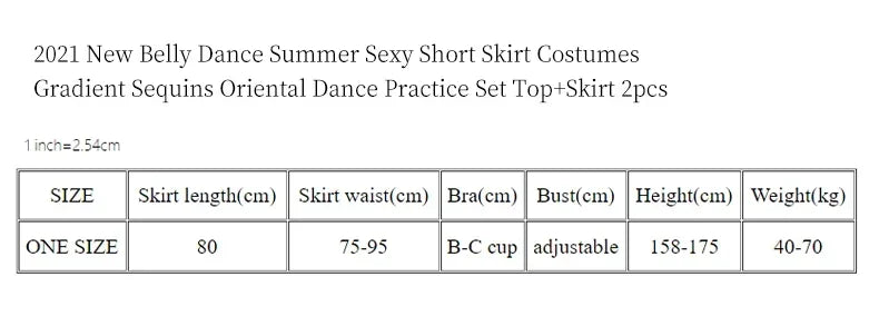 Women's Blue Silver Sequin Floral Embellished High Slit Belly Dance Skirt Set