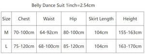 Belly Dance Women's Royal Blue Sheer Chiffon Cropped Top and Flowy Skirt Set with Side Slits