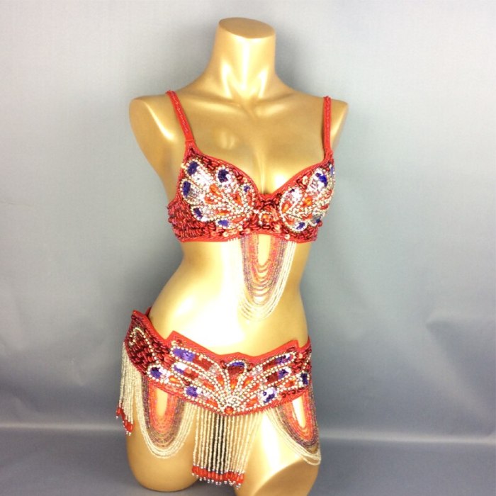 new design-butterfly women belly dance costume wear BRA+belt 2piece/set ,accept any size TF1359