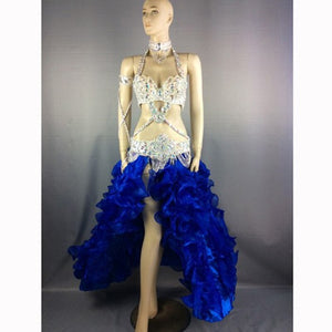 New women performance belly dance costume set carnival belly dancing clothes halloween bellydance bra&belt&skirt 5pcs suit TF1732 (5PCS/SET)