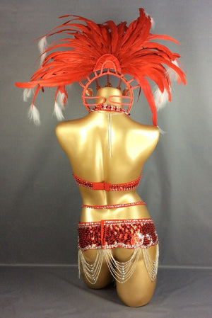 HOT SALE!!! parade Sexy Samba Rio Carnival Costume Feather Headdress #C209